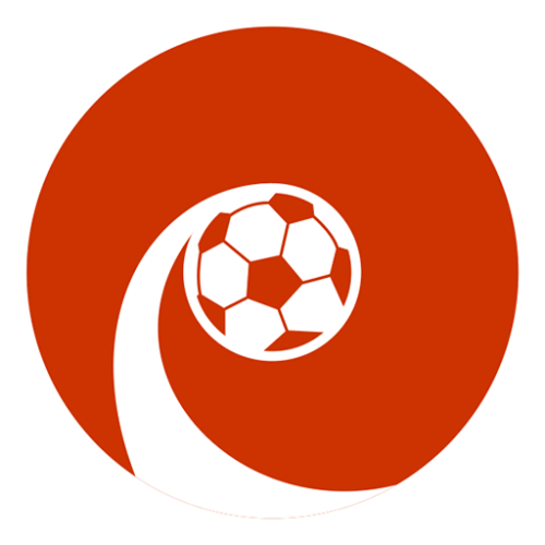 Teknis Pemilihan Kepengurusan PSSI yang Baru